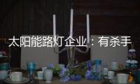 太阳能路灯企业：有杀手锏才能有销量有市场