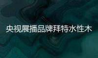 快排公司十年历程，霸屏兔 seo 的崛起与坚守