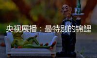 央视展播：最特别的锦鲤——佳得福金门窗