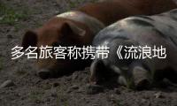 多名旅客称携带《流浪地球2》周边充电宝登机受阻	：最高售价近千元，如今面临处理难