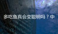 多吃鱼真会变聪明吗？中国科学家给出定论丨硬核唠科