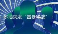 多地突发“雷暴哮喘”�：半小时内发作，蒿属花粉或为元凶