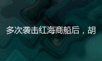 多次袭击红海商船后，胡塞武装将如何收场？丨军事