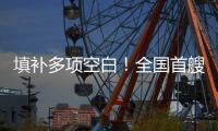 填补多项空白�！全国首艘氢电拖轮入列
