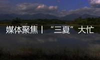 媒体聚焦丨“三夏”大忙正当时，中联重科农机一线展英姿