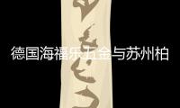 快排公司十年历程，霸屏兔 seo 的崛起与坚守