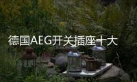 德国AEG开关插座十大品牌：经典呈现，完美创新