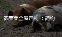 德莱美全屋定制 ：简约时尚，格调十足