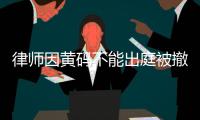 快排公司十年历程，霸屏兔 seo 的崛起与坚守