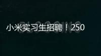 小米实习生招聘�！250/天！留学生优先&餐补！世界 500 强offer!