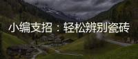 小编支招
：轻松辨别瓷砖的品质