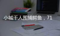 小城千人围捕鳄鱼，71条已全部查明和追回