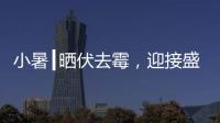 小暑┃晒伏去霉	，迎接盛夏