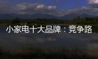 小家电十大品牌
	：竞争路上 创新先行