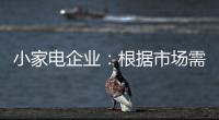 小家电企业
	：根据市场需求而变 努力成为行业弄潮者