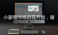 小家电市场百花齐放�，背后的安全隐患不容忽视。