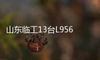山东临工13台L956HEV定制电装交付生物质发电企业，开启绿色租赁新篇章