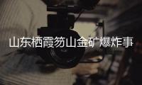 快排公司十年历程，霸屏兔 seo 的崛起与坚守