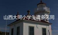 山西大同小学生遭多名同学辱骂�、殴打、欺凌，官方通报