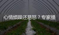 心情烦躁还易怒�？专家提醒35℃以上当防“情绪中暑”丨硬核唠科