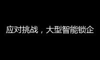 应对挑战，大型智能锁企业要“刹住车”
