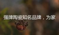 强牌陶瓷知名品牌，为家居添加几何素色色彩
