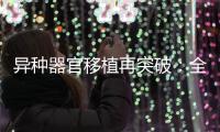 异种器官移植再突破：全球第三例基因编辑猪肾移植人体｜周一健