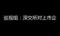 巡视组：深交所对上市企监管不力