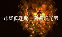 快排公司十年历程，霸屏兔 seo 的崛起与坚守
