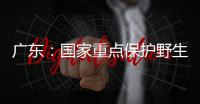 广东：国家重点保护野生动植物物种数量呈扩大态势