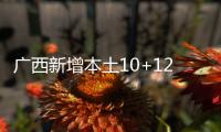 广西新增本土10+121 在北海市、崇左市等地