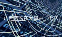 广西蔗农在大旱中
�：七八个月了
	，雨“连蚂蚁都没喂饱”