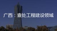 广西	：查处工程建设领域腐败问题440件 处分470人