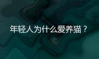 年轻人为什么爱养猫？