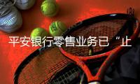平安银行零售业务已“止血”
，脱困尚需定力｜透视金融业2024年年报①