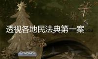 透视各地民法典第一案 裁判背后体现了什么？
