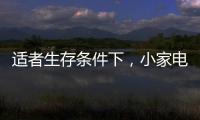 适者生存条件下，小家电品牌从细节入手控成本
