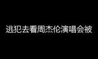 逃犯去看周杰伦演唱会被抓
，演出市场回暖