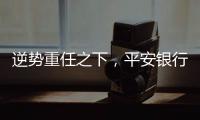 逆势重任之下，平安银行大变阵，业绩能否再提振	？｜透视金融业年报①