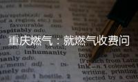 重庆燃气
：就燃气收费问题对相关责任人和部门追责问责