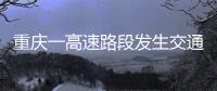 快排公司十年历程，霸屏兔 seo 的崛起与坚守