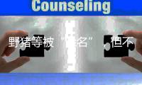野猪等被“除名”�，但不意味着可随意捕杀