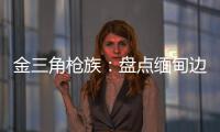 金三角枪族：盘点缅甸边境的自制武器