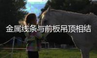 金属线条与前板吊顶相结合
，诠释高级沉稳的空间氛围