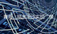 青海
：精准治沙实现“绿进沙退”