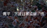 青平：下足日常监督“绣花”功夫