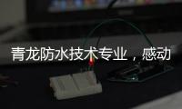 青龙防水技术专业
，感动业主获赠锦旗