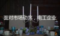 面对市场动荡
，电工企业要适应环境变化