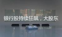 银行股持续狂飙	，大股东也踏空了
？