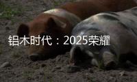 铝木时代：2025荣耀加冕�，领航中国铝木门新风尚